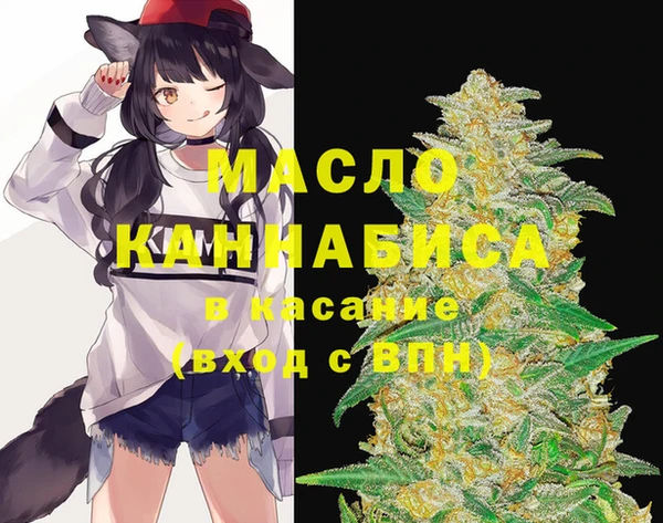 дмт Пестово